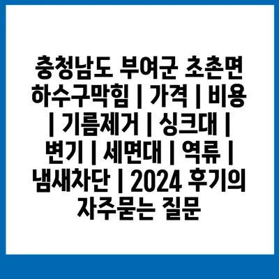 충청남도 부여군 초촌면 하수구막힘 | 가격 | 비용 | 기름제거 | 싱크대 | 변기 | 세면대 | 역류 | 냄새차단 | 2024 후기