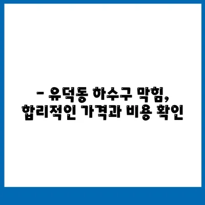 광주시 서구 유덕동 하수구막힘 | 가격 | 비용 | 기름제거 | 싱크대 | 변기 | 세면대 | 역류 | 냄새차단 | 2024 후기