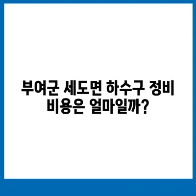 충청남도 부여군 세도면 하수구막힘 | 가격 | 비용 | 기름제거 | 싱크대 | 변기 | 세면대 | 역류 | 냄새차단 | 2024 후기