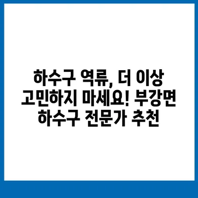 세종시 세종특별자치시 부강면 하수구막힘 | 가격 | 비용 | 기름제거 | 싱크대 | 변기 | 세면대 | 역류 | 냄새차단 | 2024 후기