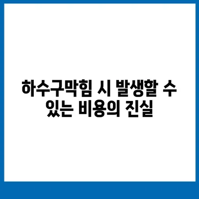 대전시 유성구 죽동 하수구막힘 | 가격 | 비용 | 기름제거 | 싱크대 | 변기 | 세면대 | 역류 | 냄새차단 | 2024 후기