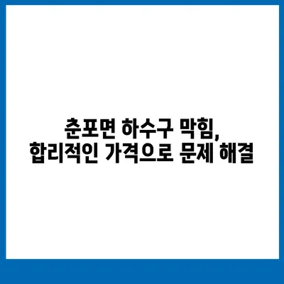 전라북도 익산시 춘포면 하수구막힘 | 가격 | 비용 | 기름제거 | 싱크대 | 변기 | 세면대 | 역류 | 냄새차단 | 2024 후기