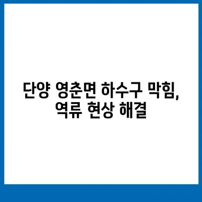 충청북도 단양군 영춘면 하수구막힘 | 가격 | 비용 | 기름제거 | 싱크대 | 변기 | 세면대 | 역류 | 냄새차단 | 2024 후기