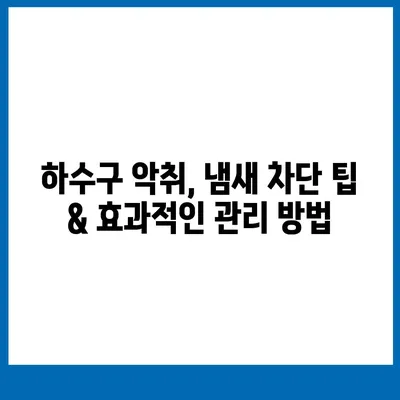 세종시 세종특별자치시 조치원읍 하수구막힘 | 가격 | 비용 | 기름제거 | 싱크대 | 변기 | 세면대 | 역류 | 냄새차단 | 2024 후기