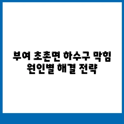 충청남도 부여군 초촌면 하수구막힘 | 가격 | 비용 | 기름제거 | 싱크대 | 변기 | 세면대 | 역류 | 냄새차단 | 2024 후기