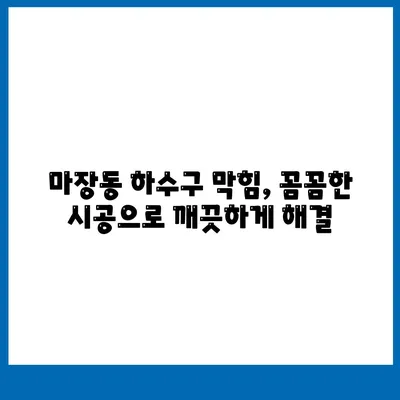 서울시 성동구 마장동 하수구막힘 | 가격 | 비용 | 기름제거 | 싱크대 | 변기 | 세면대 | 역류 | 냄새차단 | 2024 후기