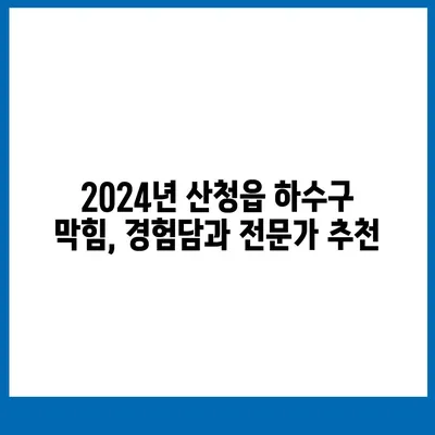 경상남도 산청군 산청읍 하수구막힘 | 가격 | 비용 | 기름제거 | 싱크대 | 변기 | 세면대 | 역류 | 냄새차단 | 2024 후기