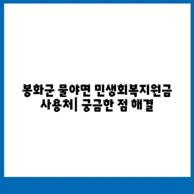 경상북도 봉화군 물야면 민생회복지원금 | 신청 | 신청방법 | 대상 | 지급일 | 사용처 | 전국민 | 이재명 | 2024