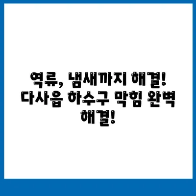 대구시 달성군 다사읍 하수구막힘 | 가격 | 비용 | 기름제거 | 싱크대 | 변기 | 세면대 | 역류 | 냄새차단 | 2024 후기