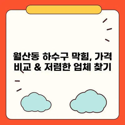 광주시 남구 월산동 하수구막힘 | 가격 | 비용 | 기름제거 | 싱크대 | 변기 | 세면대 | 역류 | 냄새차단 | 2024 후기