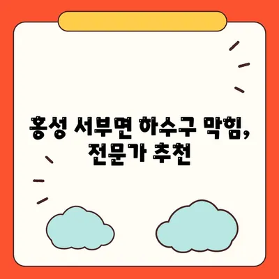 충청남도 홍성군 서부면 하수구막힘 | 가격 | 비용 | 기름제거 | 싱크대 | 변기 | 세면대 | 역류 | 냄새차단 | 2024 후기