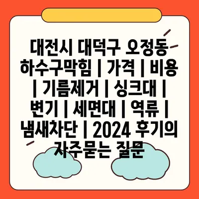 대전시 대덕구 오정동 하수구막힘 | 가격 | 비용 | 기름제거 | 싱크대 | 변기 | 세면대 | 역류 | 냄새차단 | 2024 후기