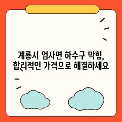 충청남도 계룡시 엄사면 하수구막힘 | 가격 | 비용 | 기름제거 | 싱크대 | 변기 | 세면대 | 역류 | 냄새차단 | 2024 후기