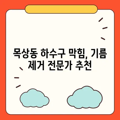 대전시 대덕구 목상동 하수구막힘 | 가격 | 비용 | 기름제거 | 싱크대 | 변기 | 세면대 | 역류 | 냄새차단 | 2024 후기