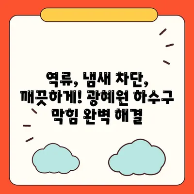 충청북도 진천군 광혜원면 하수구막힘 | 가격 | 비용 | 기름제거 | 싱크대 | 변기 | 세면대 | 역류 | 냄새차단 | 2024 후기