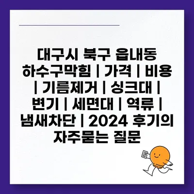 대구시 북구 읍내동 하수구막힘 | 가격 | 비용 | 기름제거 | 싱크대 | 변기 | 세면대 | 역류 | 냄새차단 | 2024 후기