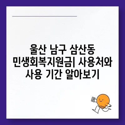 울산시 남구 삼산동 민생회복지원금 | 신청 | 신청방법 | 대상 | 지급일 | 사용처 | 전국민 | 이재명 | 2024