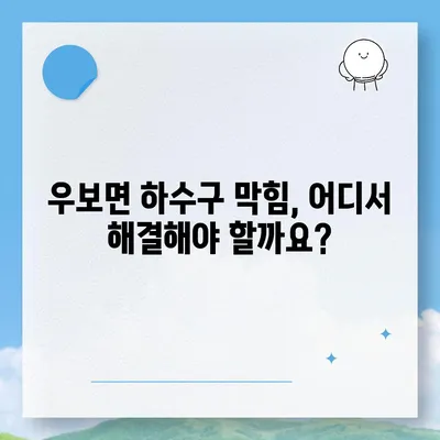 대구시 군위군 우보면 하수구막힘 | 가격 | 비용 | 기름제거 | 싱크대 | 변기 | 세면대 | 역류 | 냄새차단 | 2024 후기