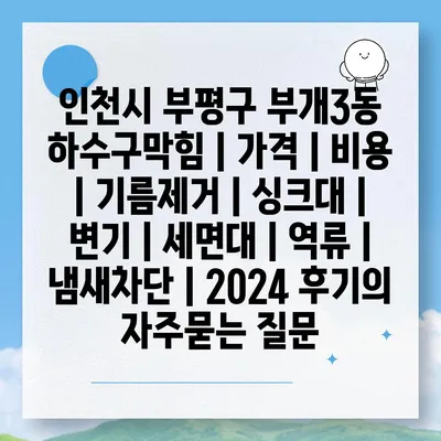 인천시 부평구 부개3동 하수구막힘 | 가격 | 비용 | 기름제거 | 싱크대 | 변기 | 세면대 | 역류 | 냄새차단 | 2024 후기