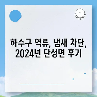 충청북도 단양군 단성면 하수구막힘 | 가격 | 비용 | 기름제거 | 싱크대 | 변기 | 세면대 | 역류 | 냄새차단 | 2024 후기