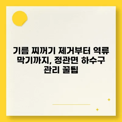 부산시 기장군 정관면 하수구막힘 | 가격 | 비용 | 기름제거 | 싱크대 | 변기 | 세면대 | 역류 | 냄새차단 | 2024 후기