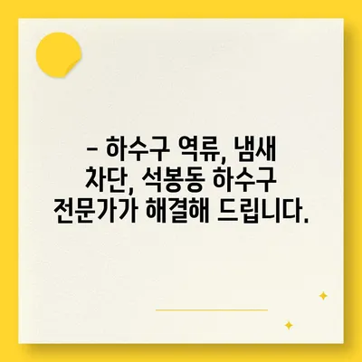 대전시 대덕구 석봉동 하수구막힘 | 가격 | 비용 | 기름제거 | 싱크대 | 변기 | 세면대 | 역류 | 냄새차단 | 2024 후기