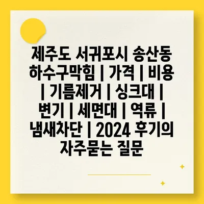 제주도 서귀포시 송산동 하수구막힘 | 가격 | 비용 | 기름제거 | 싱크대 | 변기 | 세면대 | 역류 | 냄새차단 | 2024 후기