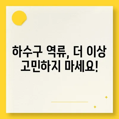 대전시 동구 홍도동 하수구막힘 | 가격 | 비용 | 기름제거 | 싱크대 | 변기 | 세면대 | 역류 | 냄새차단 | 2024 후기