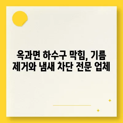 전라남도 곡성군 옥과면 하수구막힘 | 가격 | 비용 | 기름제거 | 싱크대 | 변기 | 세면대 | 역류 | 냄새차단 | 2024 후기