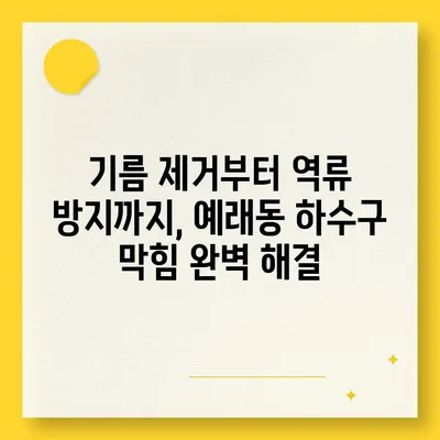 제주도 서귀포시 예래동 하수구막힘 | 가격 | 비용 | 기름제거 | 싱크대 | 변기 | 세면대 | 역류 | 냄새차단 | 2024 후기