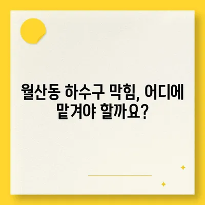 광주시 남구 월산동 하수구막힘 | 가격 | 비용 | 기름제거 | 싱크대 | 변기 | 세면대 | 역류 | 냄새차단 | 2024 후기