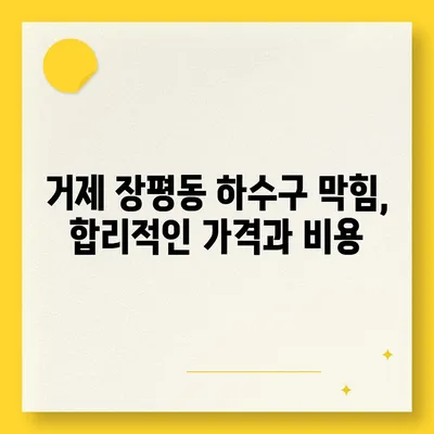 경상남도 거제시 장평동 하수구막힘 | 가격 | 비용 | 기름제거 | 싱크대 | 변기 | 세면대 | 역류 | 냄새차단 | 2024 후기