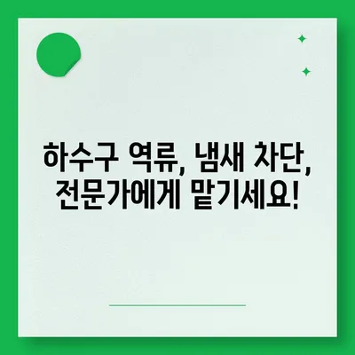 제주도 서귀포시 표선면 하수구막힘 | 가격 | 비용 | 기름제거 | 싱크대 | 변기 | 세면대 | 역류 | 냄새차단 | 2024 후기