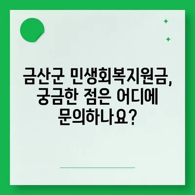 충청남도 금산군 금성면 민생회복지원금 | 신청 | 신청방법 | 대상 | 지급일 | 사용처 | 전국민 | 이재명 | 2024