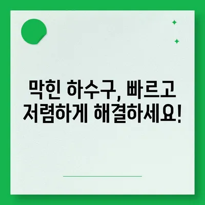 경기도 김포시 대곶면 하수구막힘 | 가격 | 비용 | 기름제거 | 싱크대 | 변기 | 세면대 | 역류 | 냄새차단 | 2024 후기