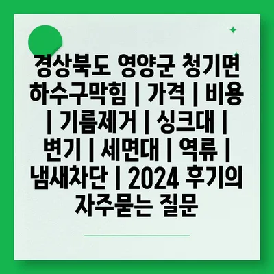 경상북도 영양군 청기면 하수구막힘 | 가격 | 비용 | 기름제거 | 싱크대 | 변기 | 세면대 | 역류 | 냄새차단 | 2024 후기