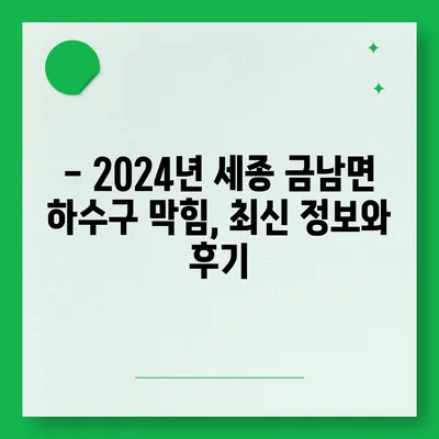 세종시 세종특별자치시 금남면 하수구막힘 | 가격 | 비용 | 기름제거 | 싱크대 | 변기 | 세면대 | 역류 | 냄새차단 | 2024 후기