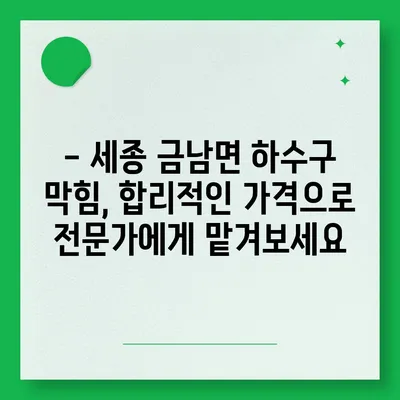 세종시 세종특별자치시 금남면 하수구막힘 | 가격 | 비용 | 기름제거 | 싱크대 | 변기 | 세면대 | 역류 | 냄새차단 | 2024 후기