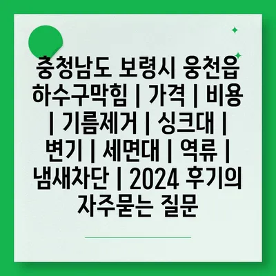 충청남도 보령시 웅천읍 하수구막힘 | 가격 | 비용 | 기름제거 | 싱크대 | 변기 | 세면대 | 역류 | 냄새차단 | 2024 후기