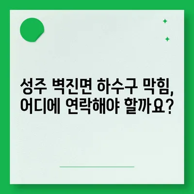 경상북도 성주군 벽진면 하수구막힘 | 가격 | 비용 | 기름제거 | 싱크대 | 변기 | 세면대 | 역류 | 냄새차단 | 2024 후기