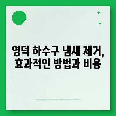 경상북도 영덕군 영덕읍 하수구막힘 | 가격 | 비용 | 기름제거 | 싱크대 | 변기 | 세면대 | 역류 | 냄새차단 | 2024 후기