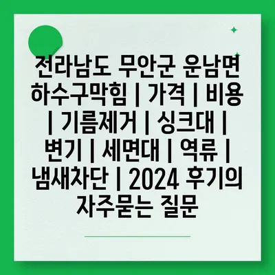 전라남도 무안군 운남면 하수구막힘 | 가격 | 비용 | 기름제거 | 싱크대 | 변기 | 세면대 | 역류 | 냄새차단 | 2024 후기