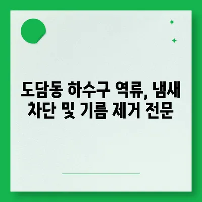 세종시 세종특별자치시 도담동 하수구막힘 | 가격 | 비용 | 기름제거 | 싱크대 | 변기 | 세면대 | 역류 | 냄새차단 | 2024 후기