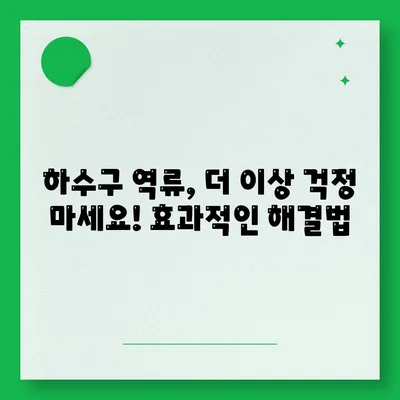 세종시 세종특별자치시 대평동 하수구막힘 | 가격 | 비용 | 기름제거 | 싱크대 | 변기 | 세면대 | 역류 | 냄새차단 | 2024 후기