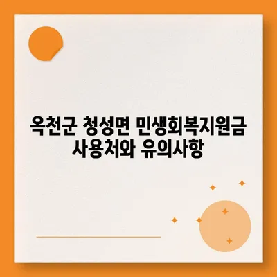충청북도 옥천군 청성면 민생회복지원금 | 신청 | 신청방법 | 대상 | 지급일 | 사용처 | 전국민 | 이재명 | 2024