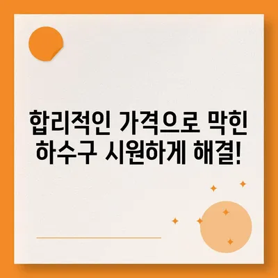 대전시 유성구 전민동 하수구막힘 | 가격 | 비용 | 기름제거 | 싱크대 | 변기 | 세면대 | 역류 | 냄새차단 | 2024 후기