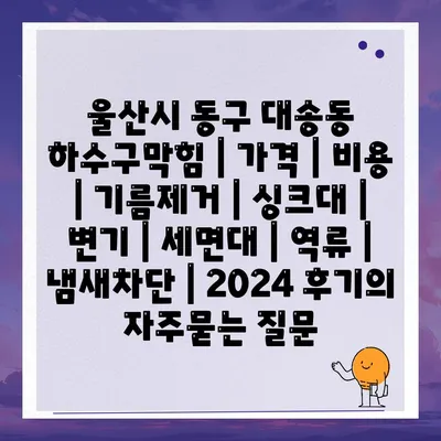 울산시 동구 대송동 하수구막힘 | 가격 | 비용 | 기름제거 | 싱크대 | 변기 | 세면대 | 역류 | 냄새차단 | 2024 후기