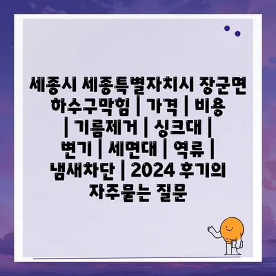 세종시 세종특별자치시 장군면 하수구막힘 | 가격 | 비용 | 기름제거 | 싱크대 | 변기 | 세면대 | 역류 | 냄새차단 | 2024 후기