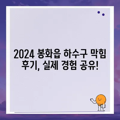 경상북도 봉화군 봉화읍 하수구막힘 | 가격 | 비용 | 기름제거 | 싱크대 | 변기 | 세면대 | 역류 | 냄새차단 | 2024 후기