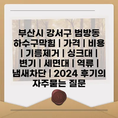 부산시 강서구 범방동 하수구막힘 | 가격 | 비용 | 기름제거 | 싱크대 | 변기 | 세면대 | 역류 | 냄새차단 | 2024 후기